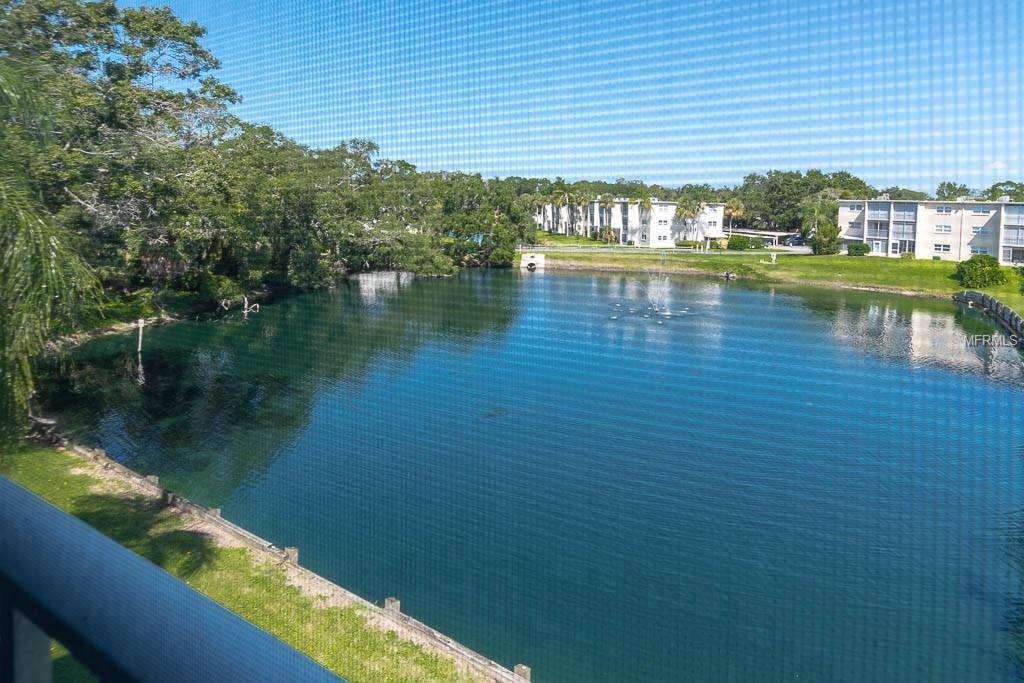 Dunedin, FL 34698,960 VIRGINIA ST #304