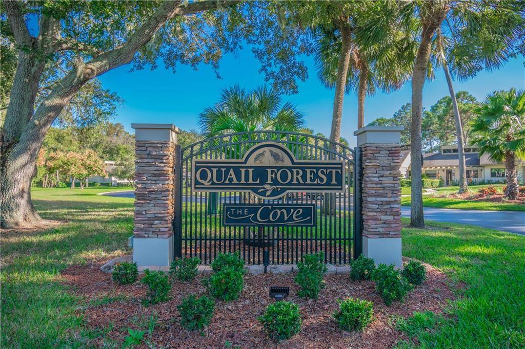 Oldsmar, FL 34677,50 DALE PL