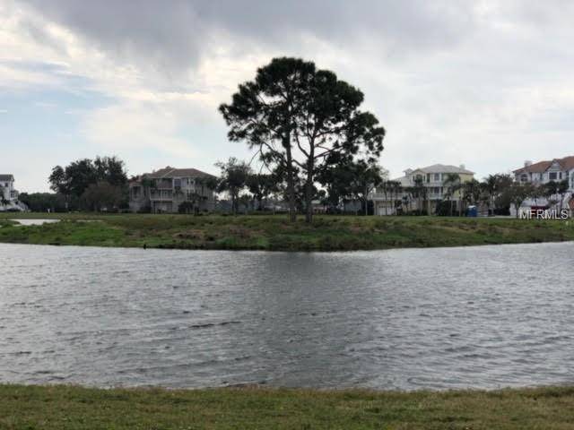 Tarpon Springs, FL 34689,SANDPIPER POINTE CT