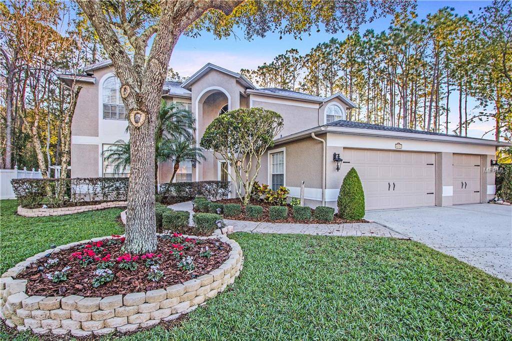 Palm Harbor, FL 34685,4153 ROTHERHAM CT