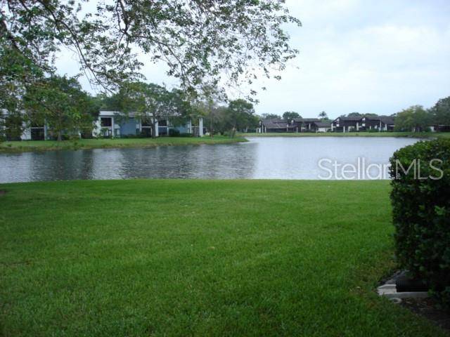 Oldsmar, FL 34677,151 LAKEVIEW WAY