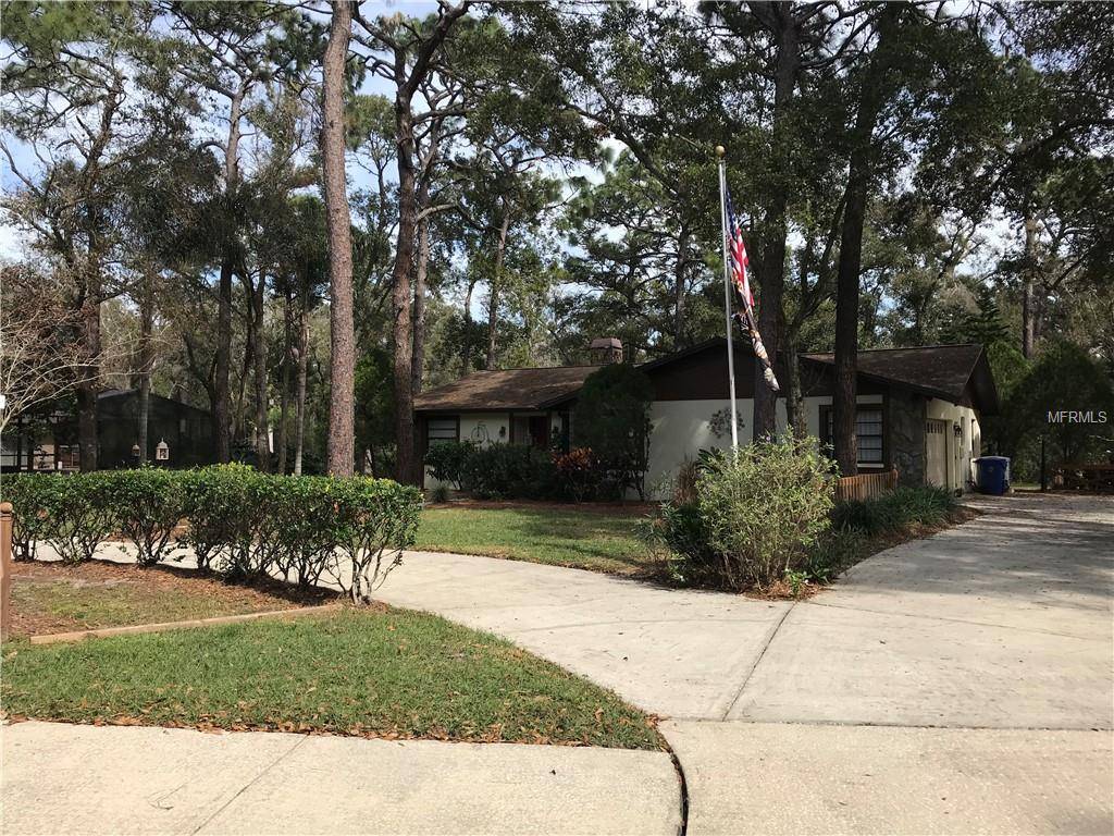 Dunedin, FL 34698,1655 NARNIA CT