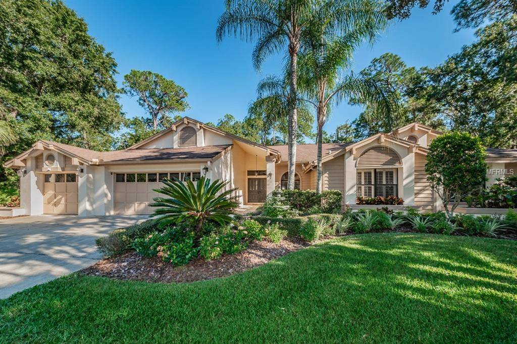 Oldsmar, FL 34677,75 DEERPATH DR