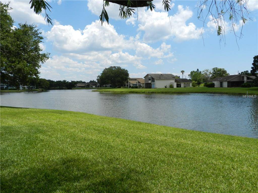 Oldsmar, FL 34677,139 LAKEVIEW WAY #55