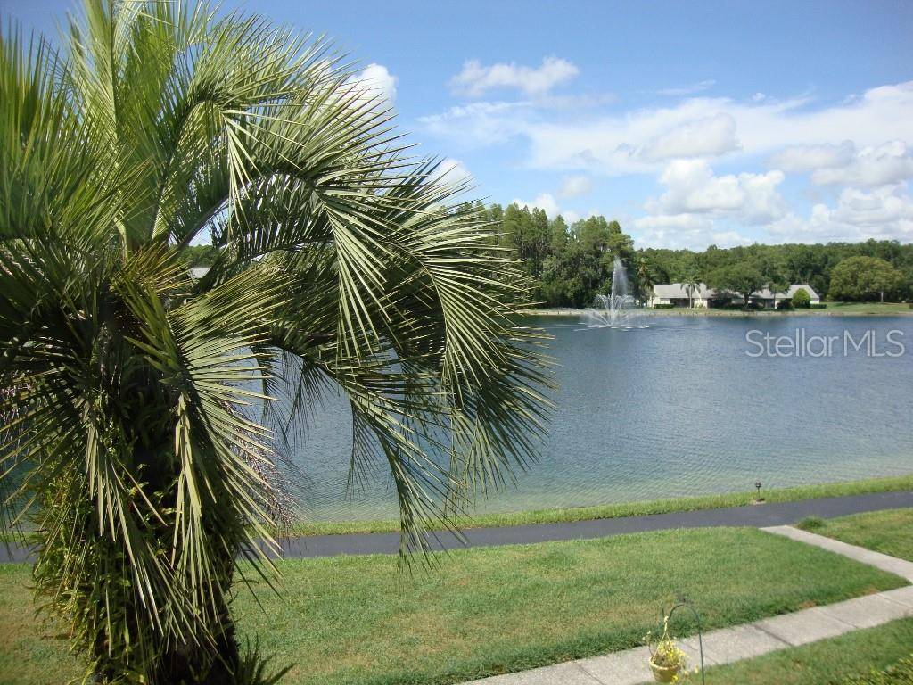 Tarpon Springs, FL 34688,3153 LAKE PINE WAY #B2