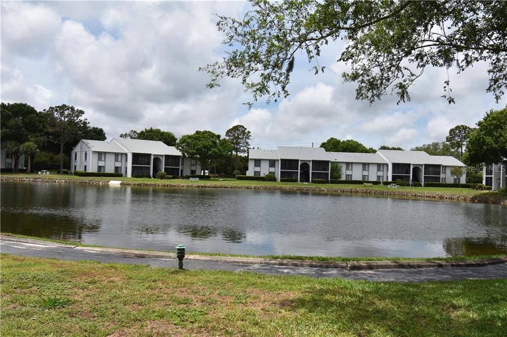 Tarpon Springs, FL 34688,1236 PINE RIDGE CIR W #G3