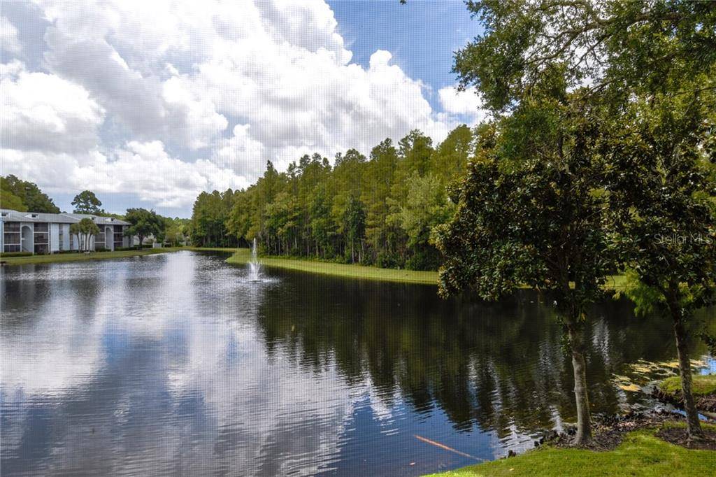 Tarpon Springs, FL 34688,1309 PINE RIDGE CIR E #G2