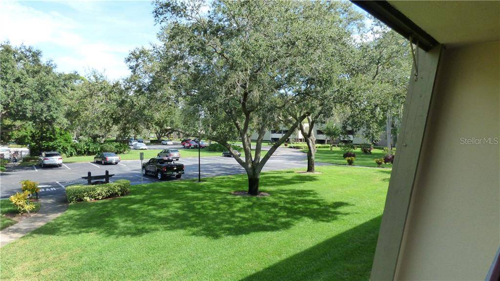 Palm Harbor, FL 34684,36750 US HIGHWAY 19 N #01206