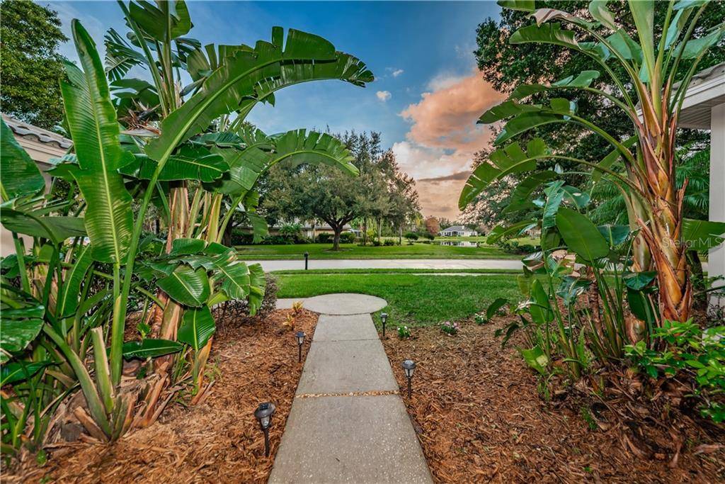 Palm Harbor, FL 34685,3660 JOHNATHON AVE