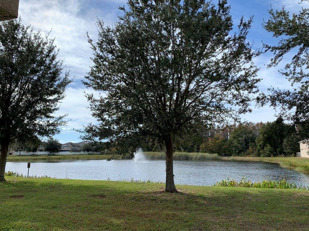 Land O Lakes, FL 34638,3229 BELLERICAY LN