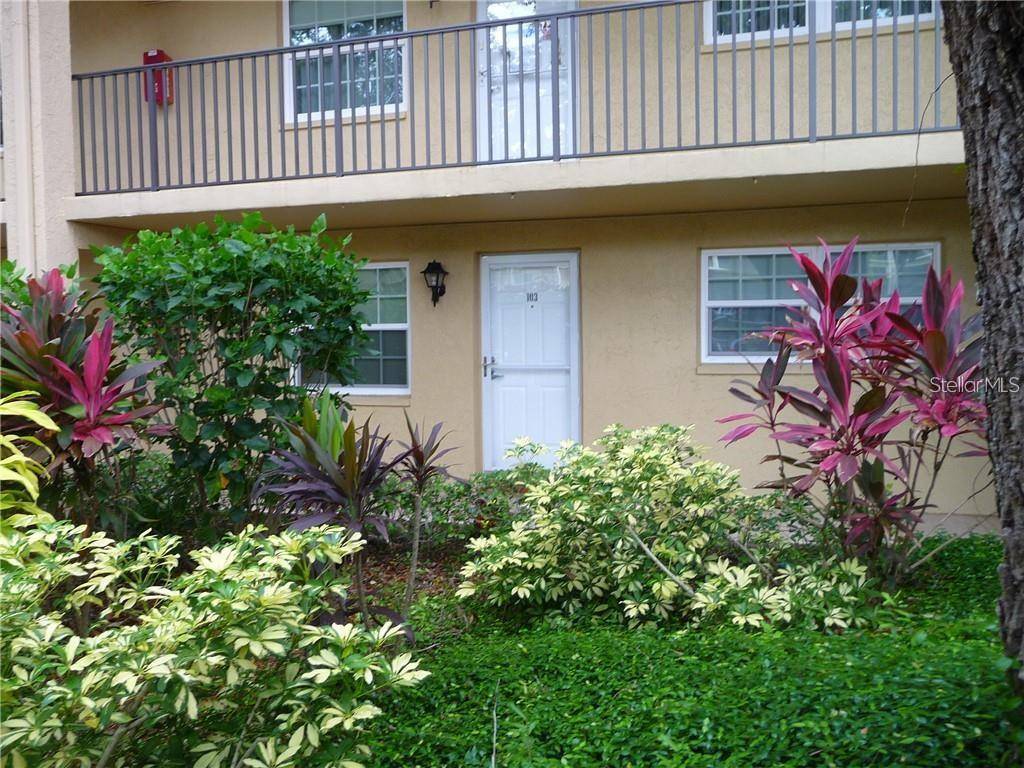 Dunedin, FL 34698,870 VIRGINIA ST #103