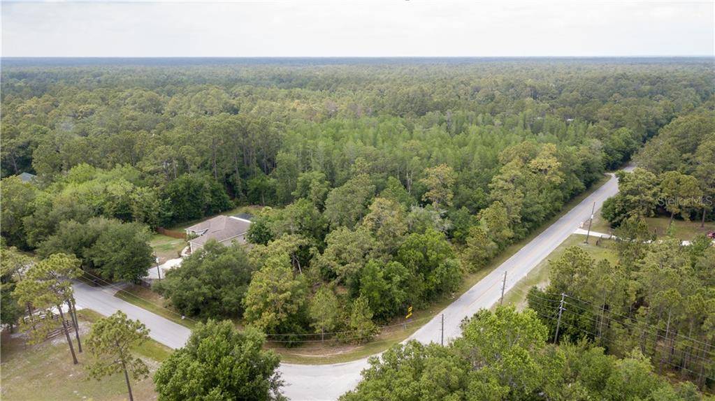 Wesley Chapel, FL 33544,TBD ROBIN ROOST LN