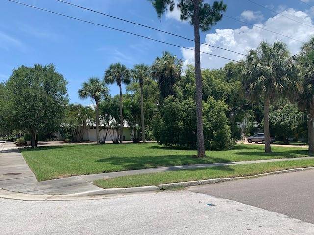 Tarpon Springs, FL 34689,0 LEMON ST