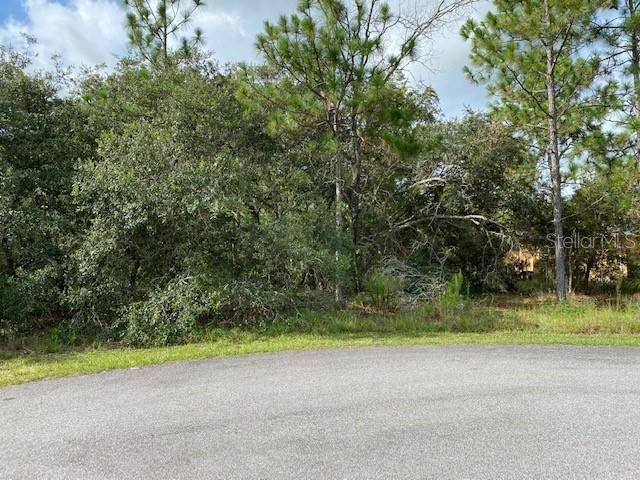 Weeki Wachee, FL 34614,Lot 5 MALEO RD