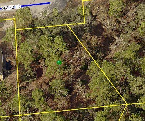 Weeki Wachee, FL 34614,Lot 5 MALEO RD