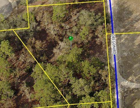 Weeki Wachee, FL 34614,Lot 6 MALEO RD