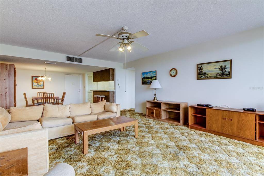 Treasure Island, FL 33706,500 TREASURE ISLAND CSWY #401