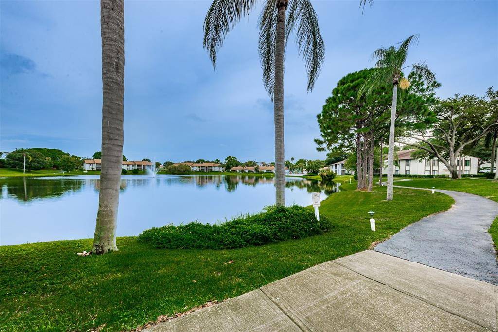 Palm Harbor, FL 34684,2523 PINE RIDGE WAY S #F1