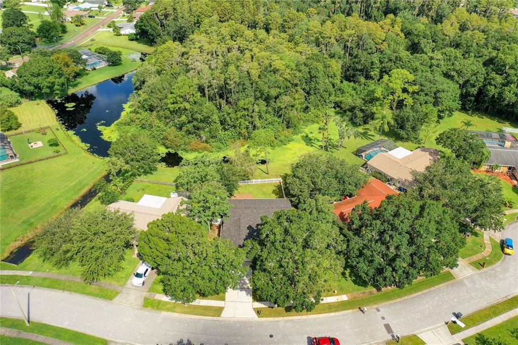 Oldsmar, FL 34677,460 CYPRESS LAKE CT