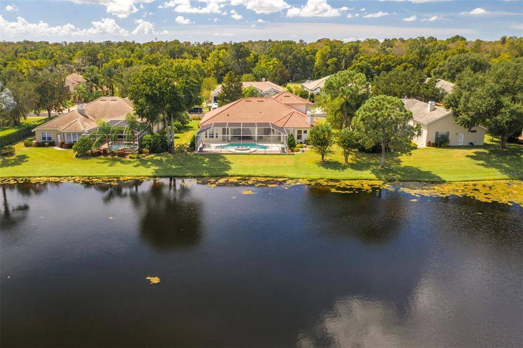 Tarpon Springs, FL 34688,377 TALL OAK TRL