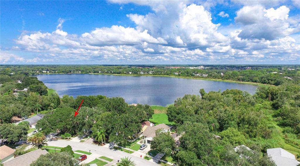 Palm Harbor, FL 34684,644 BELLINGHAM PL