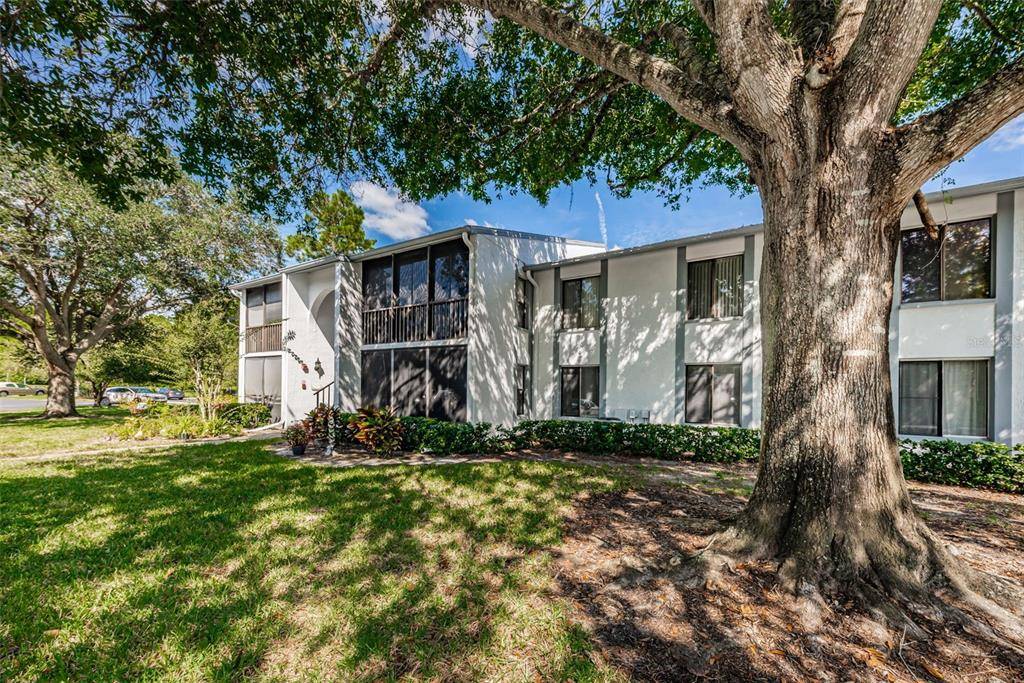 Tarpon Springs, FL 34688,1151 PINE RIDGE CIR W #D1