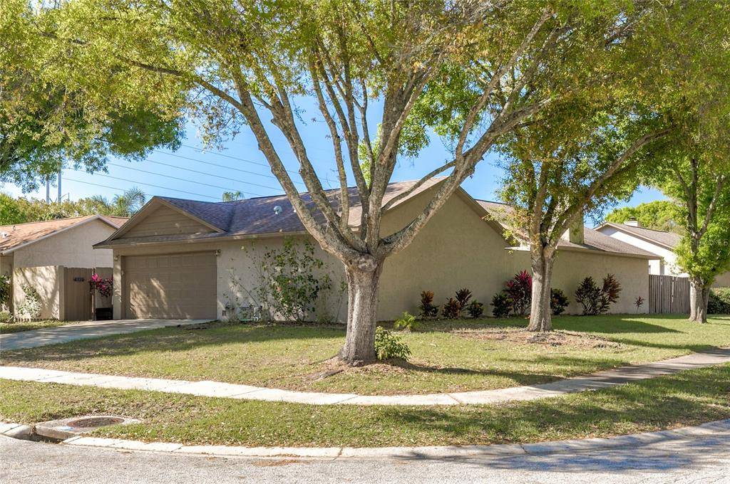 Palm Harbor, FL 34684,2771 MONICA LN