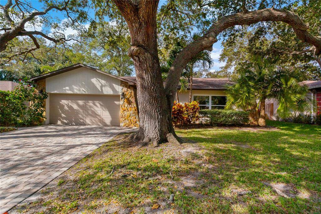 Dunedin, FL 34698,1420 HALES HOLLOW DR