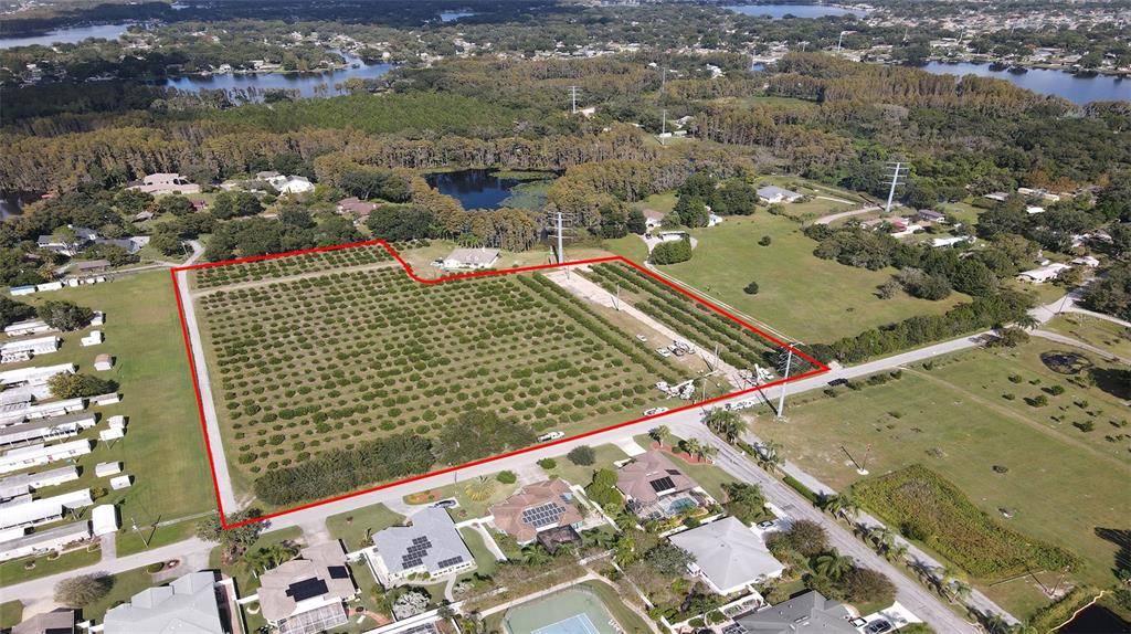 Land O Lakes, FL 34639,CARSON DRIVE