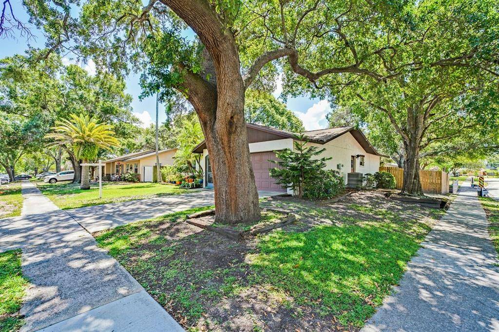 Dunedin, FL 34698,1598 SANDALWOOD DR