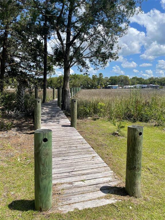 Steinhatchee, FL 32359,SW 279 AVE #Lot 1