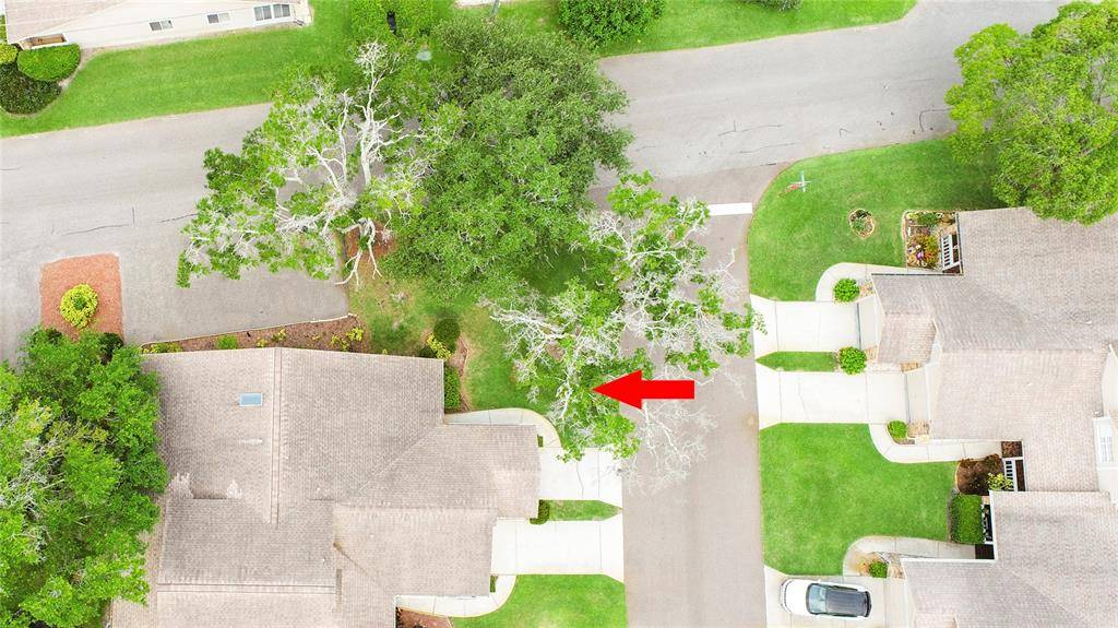 New Port Richey, FL 34653,6500 THICKET TRL