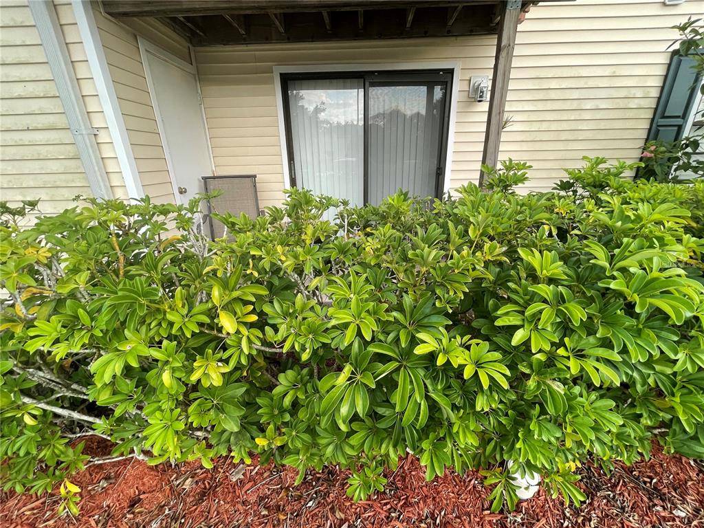 Oldsmar, FL 34677,131 SABAL CT #B