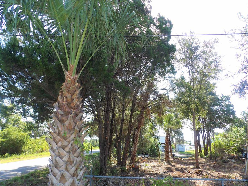 Hudson, FL 34667,LOT 1 DELEON