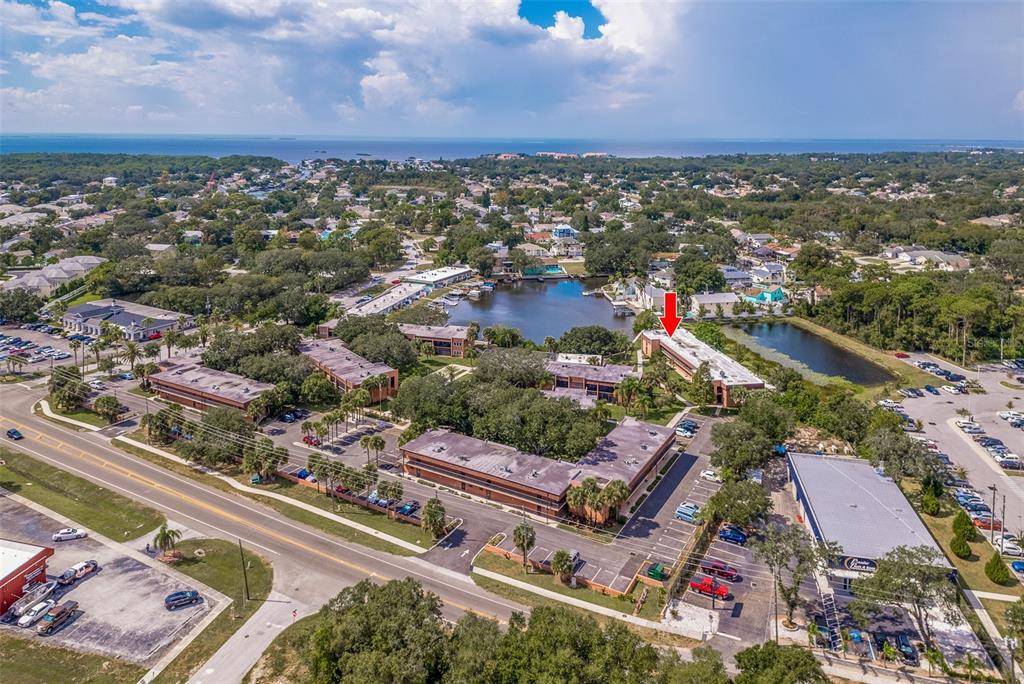 Palm Harbor, FL 34683,4805 ALT 19 #722