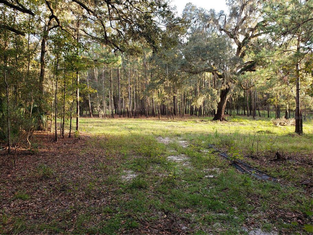 Brooksville, FL 34601,21278 HIKING PATH TRL