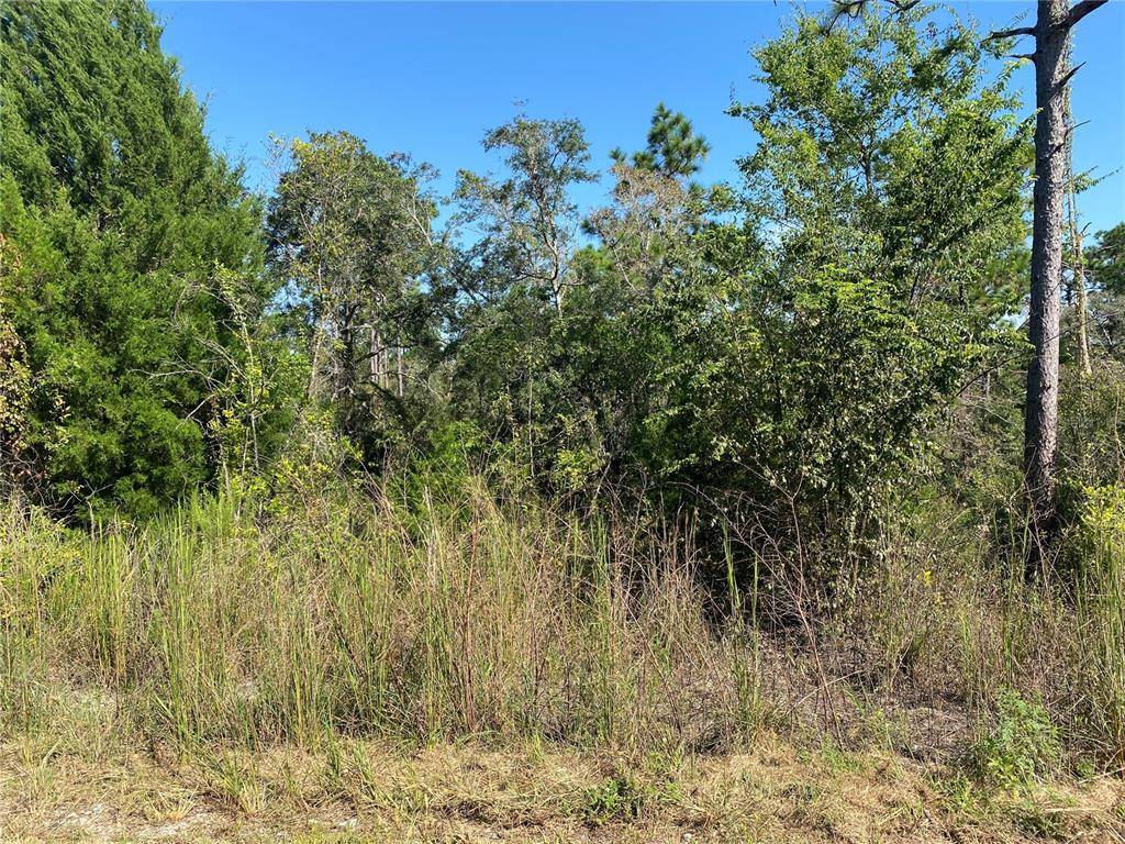 Brooksville, FL 34613,00 HARRISON ST