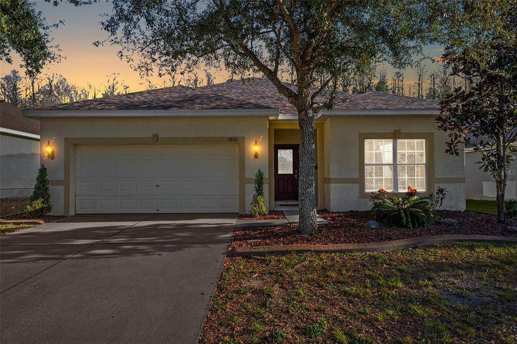 Land O Lakes, FL 34639,5850 SWEET WILLIAM TER