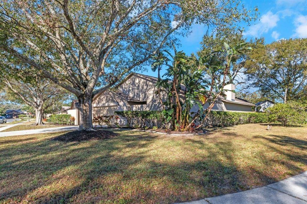 Palm Harbor, FL 34684,2767 VANESSA LN