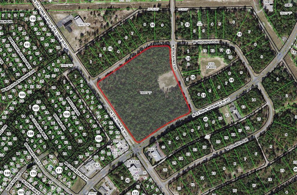 Citrus Springs, FL 34434,9719 N DELTONA BLVD