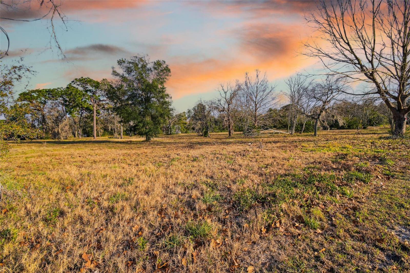Hudson, FL 34669,00 LITTLE RD