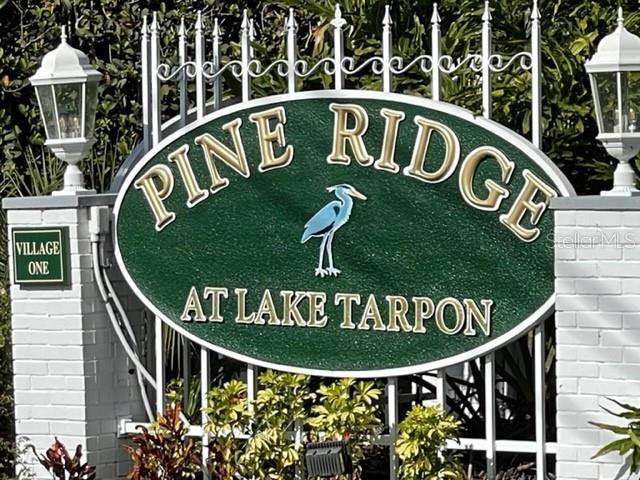 Tarpon Springs, FL 34688,1236 PINE RIDGE CIR W #F1