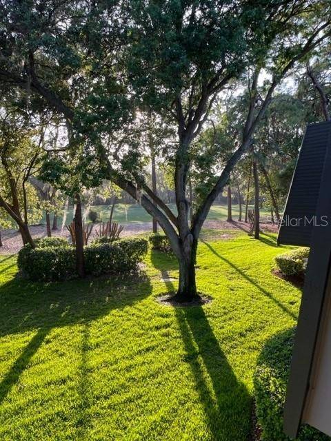 Palm Harbor, FL 34684,36750 US HIGHWAY 19 N #9203