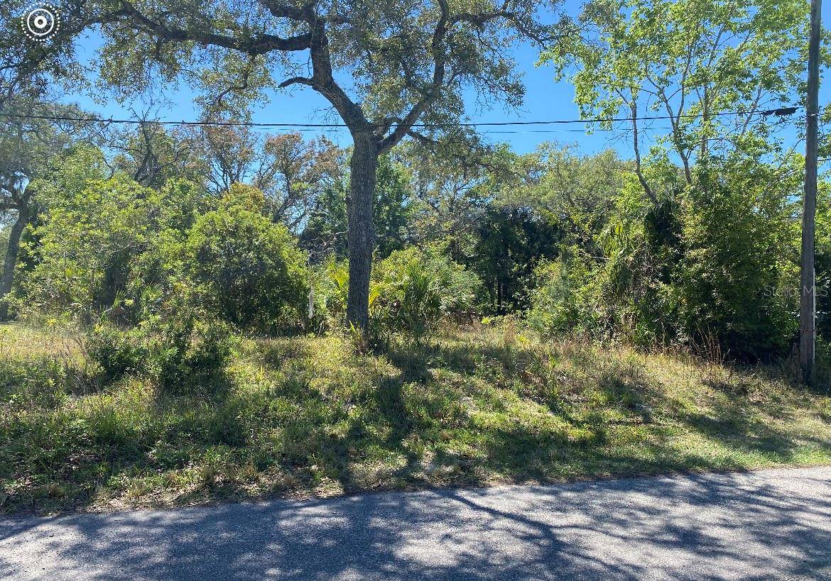 Hudson, FL 34667,SAINT MARKS CT LOT 43