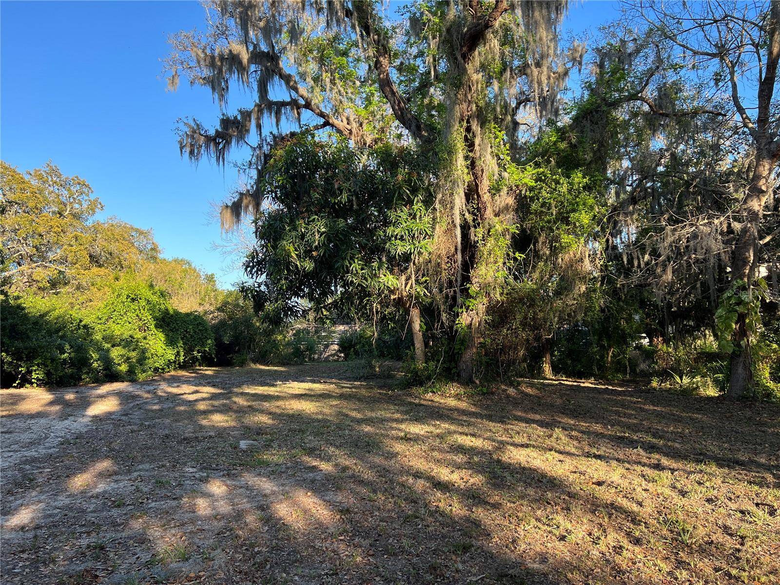 Crystal Beach, FL 34681,N MAYO ST