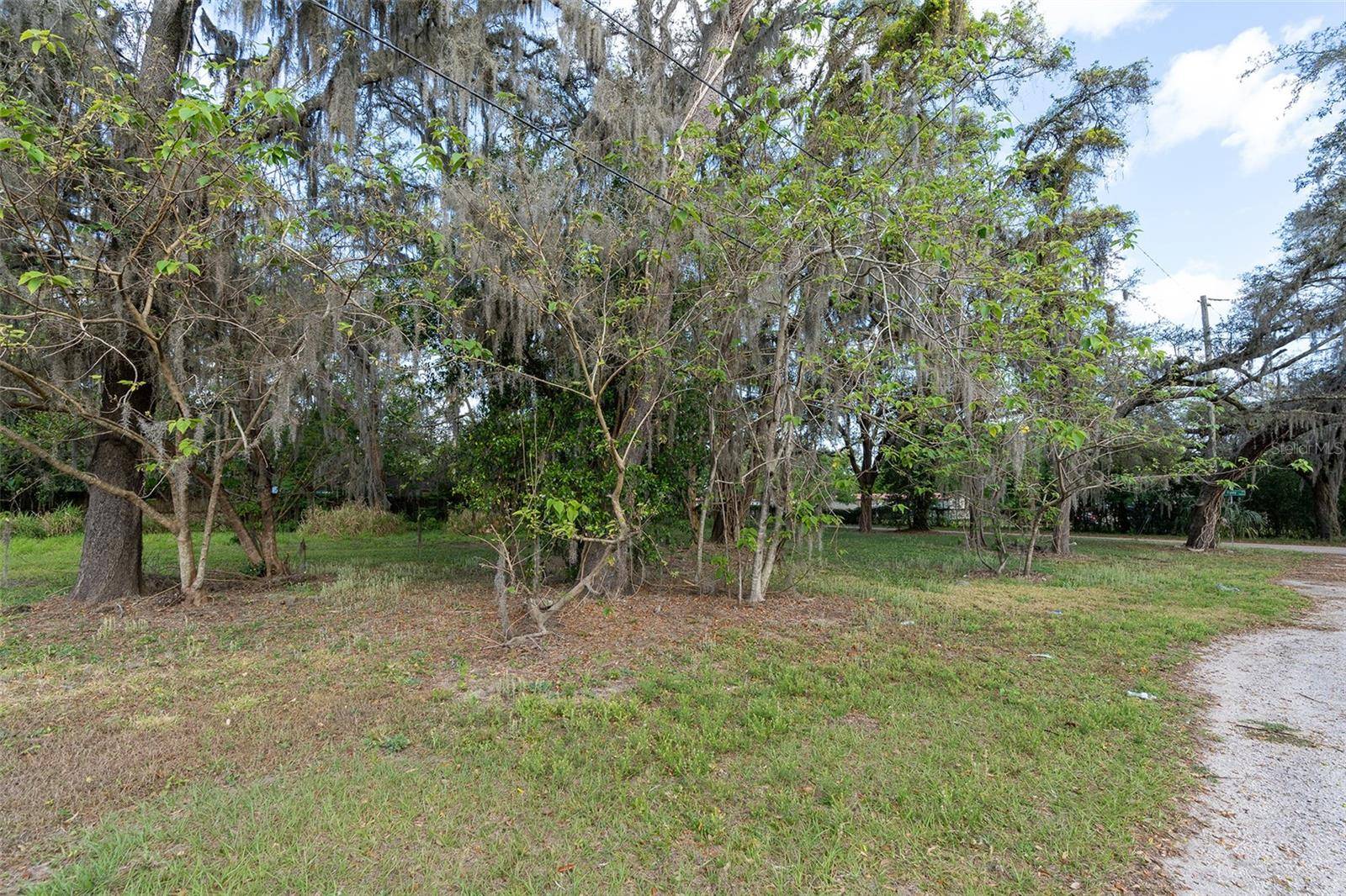 Thonotosassa, FL 33592,9323 RIPLEY RD #B