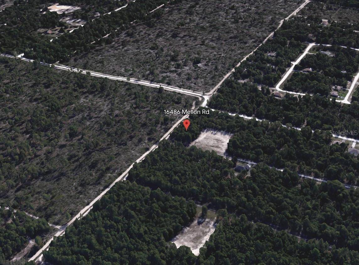 Weeki Wachee, FL 34614,16486 MELLON RD