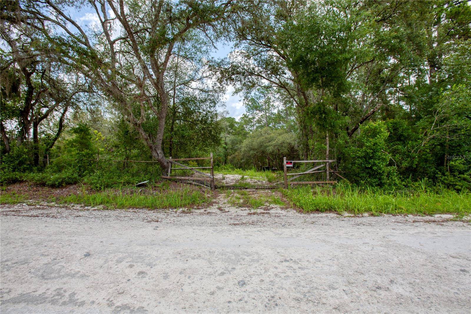 Webster, FL 33597,Lot 13 HAAS DR