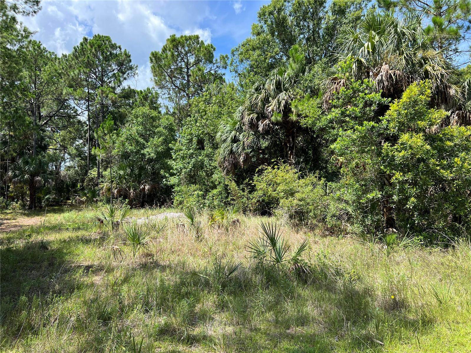 Hudson, FL 34679,TBD GIRARD RD