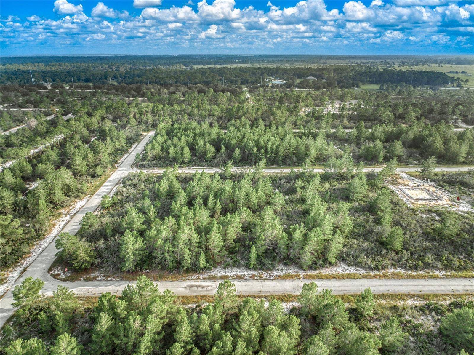 Lake Placid, FL 33852,3328 LIANE (AKA PINE KNOLL) RD